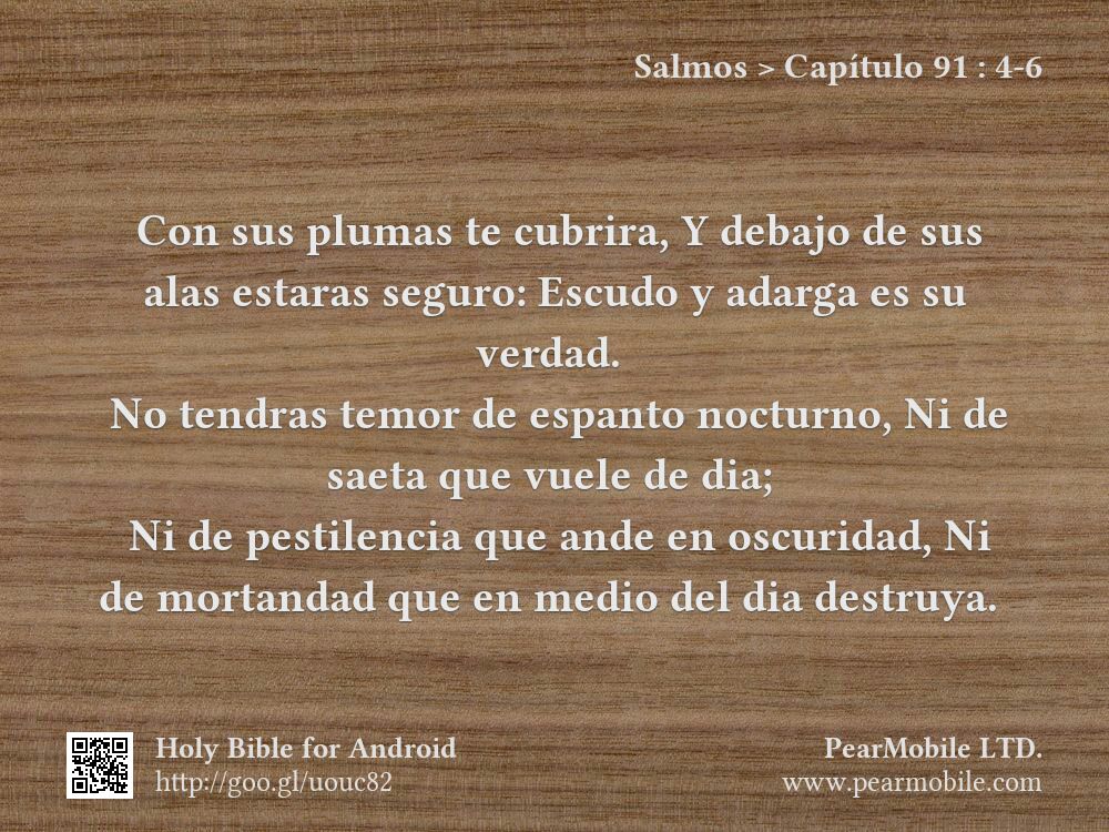 Salmos, Capítulo 91:4-6